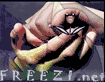 freezi